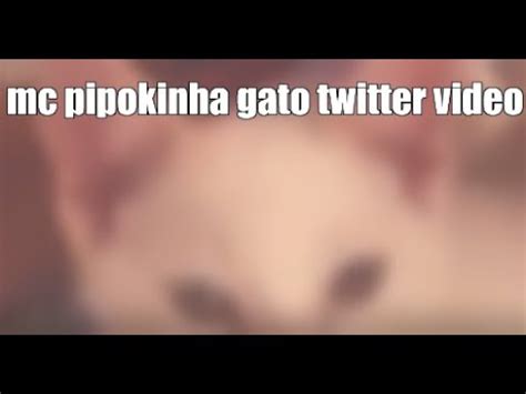 vdeo da mc pipokinha com os gatos|MC Pipokinha é acusada de praticar zoofilia após vídeo com gatos